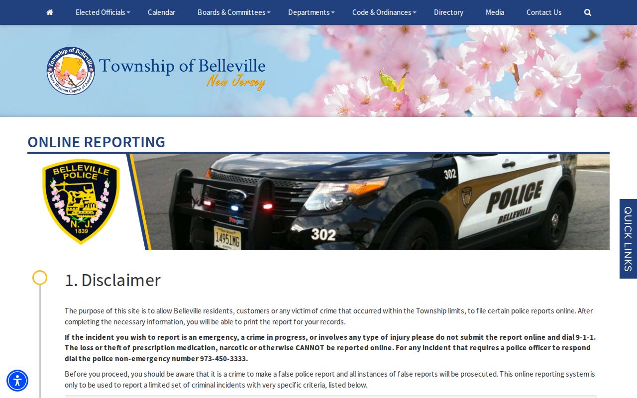 Belleville neighbors view of the police online reporting form